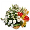 Beautiful Floral World - Click here to View more details about this Product